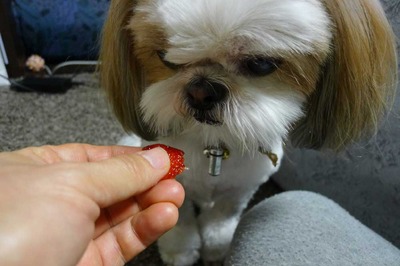 好物