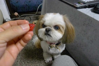 好物