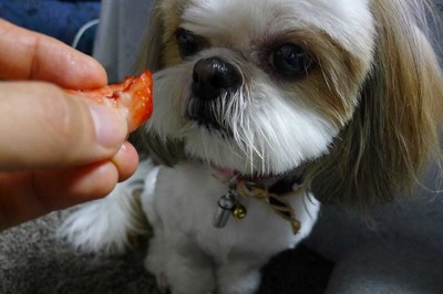 好物