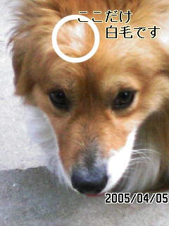 ZEROくんを探しています。