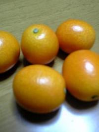 宮崎県のきんかん