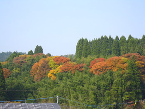 まだまだ楽しめます。