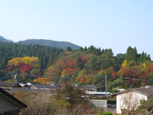 まだまだ楽しめます。