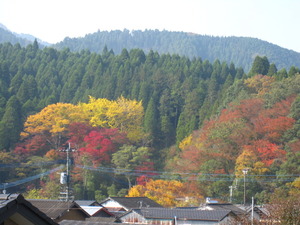 まだまだ楽しめます。