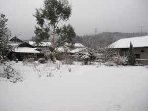 朝の景色