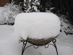 積雪４０センチ？！