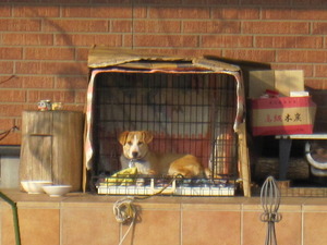 NEW HOUSE