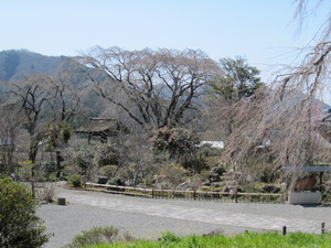 まだこれからです