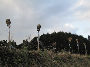 珍百景に応募できますかね?