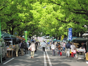 朝市、楽し過ぎ！