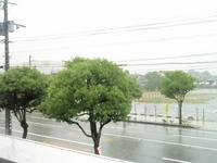 深イイ話