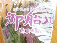がん予防に熊本の水前寺菜