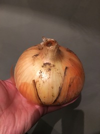 頂きました^ ^