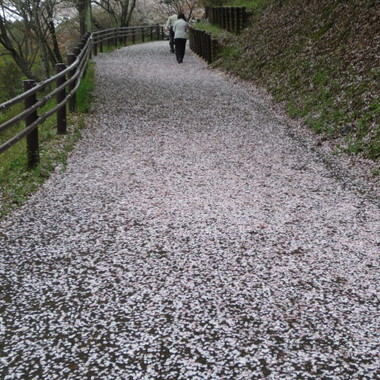 花みち 花みち