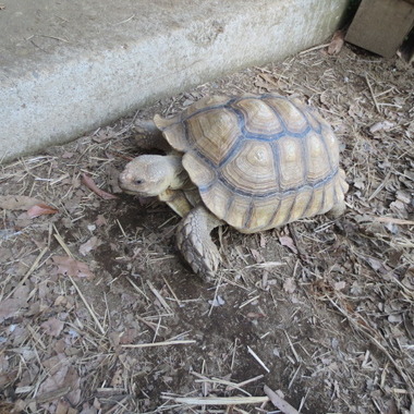 南阿蘇ふれあい動物園フェアリーテール