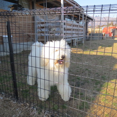 南阿蘇ふれあい動物園フェアリーテール