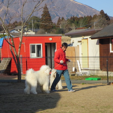 南阿蘇ふれあい動物園フェアリーテール