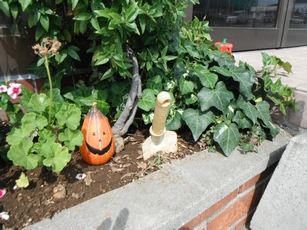 ハロウィン