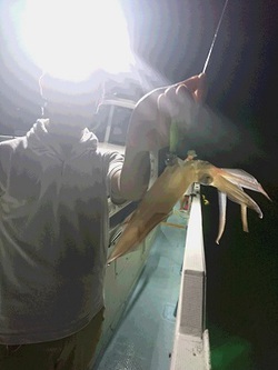 樋渡、宮崎御一行様! 樋渡、宮崎御一行様!