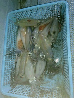 樋渡、宮崎御一行様! 樋渡、宮崎御一行様!