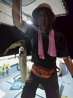 ワッキー御一行様! ワッキー御一行様!