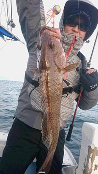 根魚狙いでした。