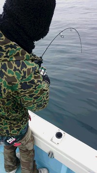厳しかったです(T-T)