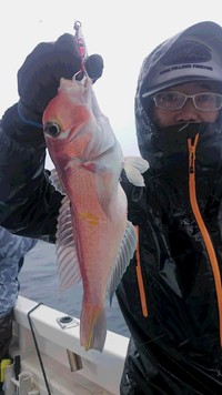 中深海でしたが。。