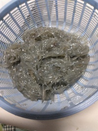 ～　頂き物　～ 2023/11/22 08:24:45