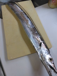 ～　頂き物　～ 2023/11/25 09:25:07
