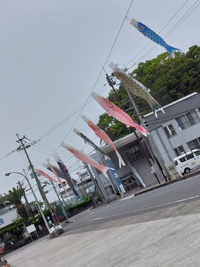 ～　鯉のぼり　～ 2023/04/20 11:08:14
