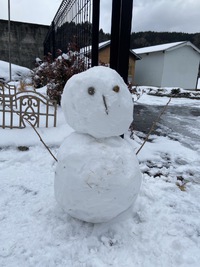 ～　雪　～ 2025/02/08 12:01:58