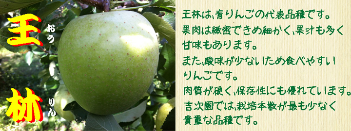 みかん狩り、りんご狩り、柿狩りも開園中!
