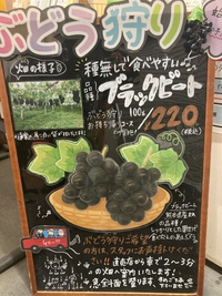 ぶどう狩りスタートです！
