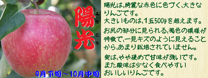 みかん狩り、りんご狩り、柿狩りも開園中!