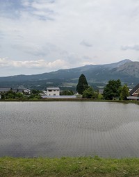 田植え 2022/05/16 15:06:16