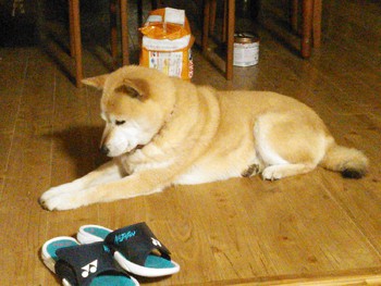 はな