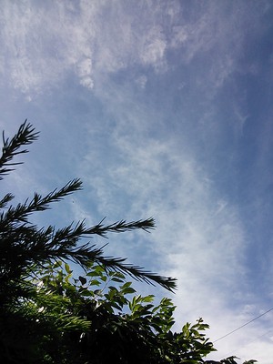 青空