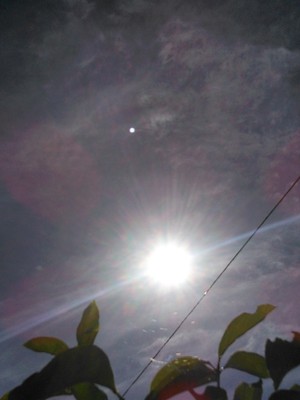 ギラギラ太陽