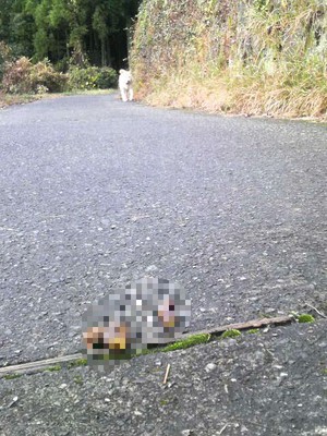 お宝 お宝