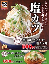 かつや熊本浜線バイパス店の今日からはじまる限定メニューは？ 2016/08/12 12:10:51