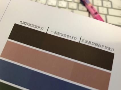 肌色サンプル熊本 肌色サンプル熊本
