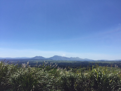 kumamoto color 2015 kumamoto color 2015