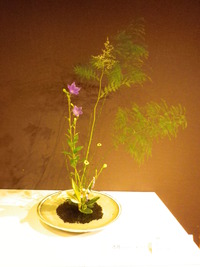 本日のお花 【6月16日】