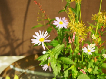 本日のお花 【10月10日】