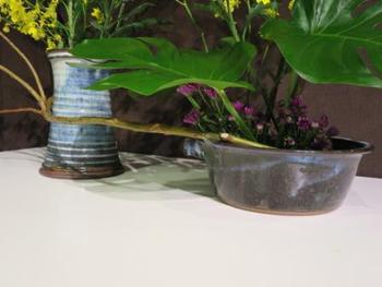 本日のお花 【11月17日】 本日のお花 【11月17日】