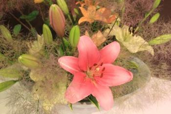 本日のお花 【5月26日】 本日のお花 【5月26日】
