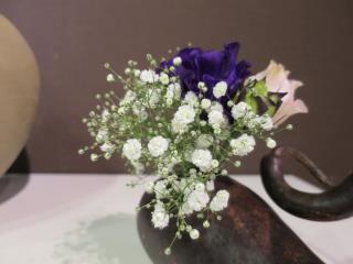 本日のお花 【12月1日】 本日のお花 【12月1日】