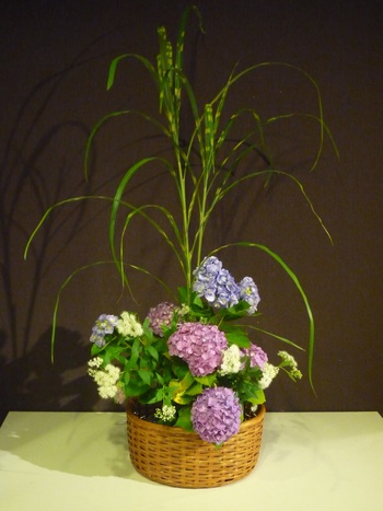 玄関のお花【6月10日】 玄関のお花【6月10日】