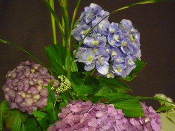 玄関のお花【6月10日】 玄関のお花【6月10日】